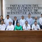 INSTALA BLANCA MERARI EL CONSEJO CONSULTIVO CIUDADANO PARA LA ATENCIÓN Y BIENESTAR ANIMAL DE PUERTO MORELOS 2026