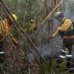 MANTIENEN VIGILANCIA Y ACCIONES ANTE PRESENCIA DE HUMO EN PUERTO MORELOS